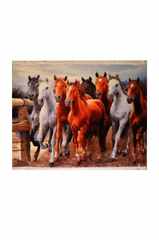 Herd of horses      