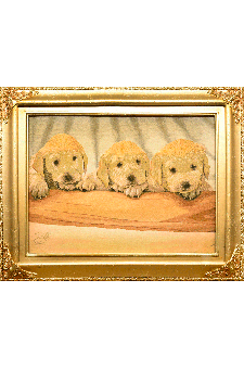 Three puppies      