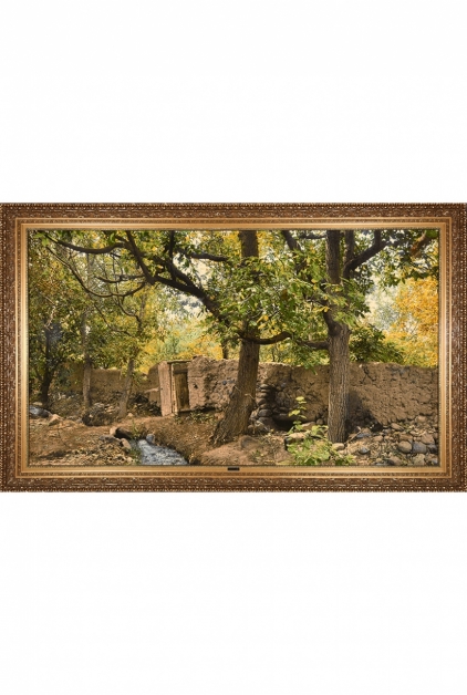 باغ گردو     