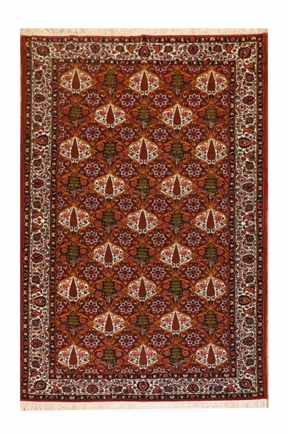 درختی یک طرفه     