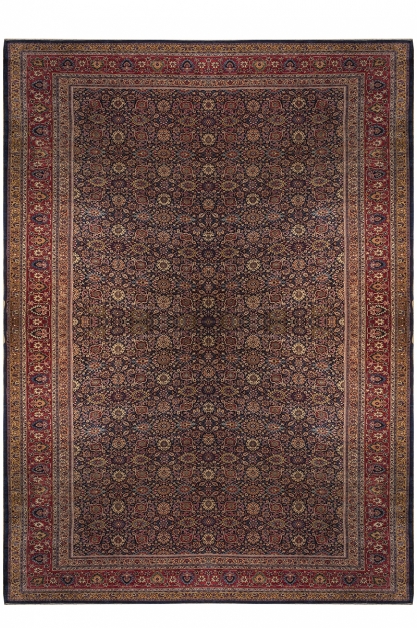 ماهی سراسر